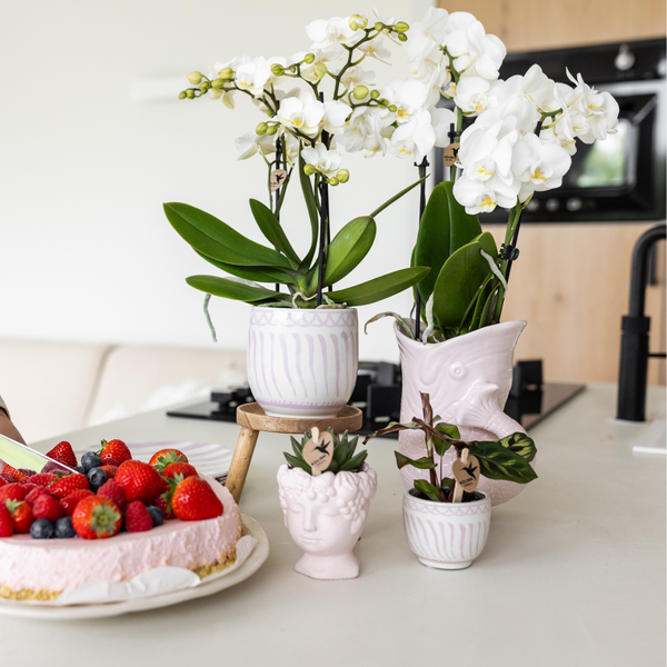 Kolibri Home | Granada - Pink - Ø9cm
