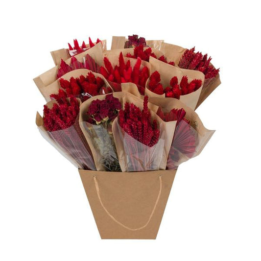 Fleurs séchées - Mono Mix séché - Rouge - ↕50cm