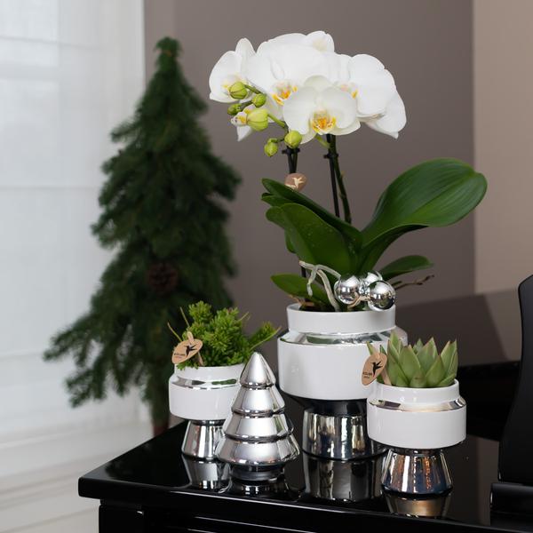 Maison Colibri | Ornement - Image décorative Sapin de Noël - 12 cm de haut - Argent