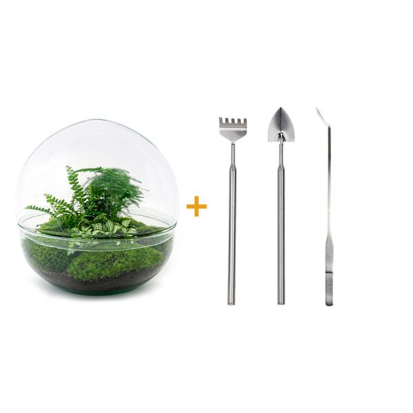 DIY terrarium - Dome XL - ↕ 30 cm - Rake + Shovel + Tweezer