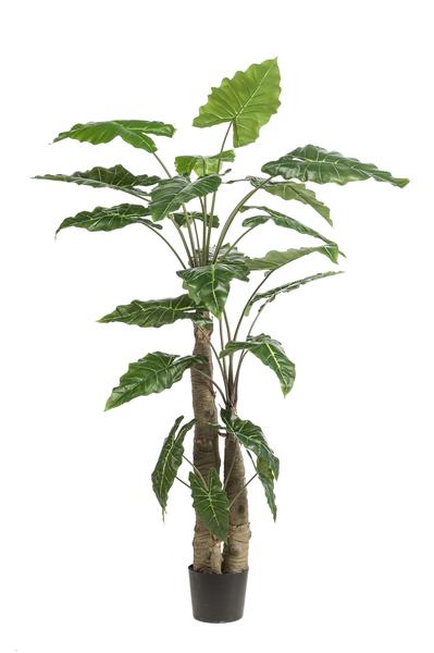 Plante artificielle - Alocasia - Oreille d'éléphant - 180 cm