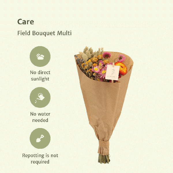 Fleurs séchées Bouquet Champ Multi - Ø15cm - ↕35cm