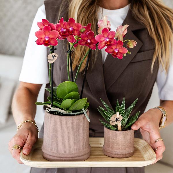 Kolibri Home | Bali sierpot - Sand - Ø9cm