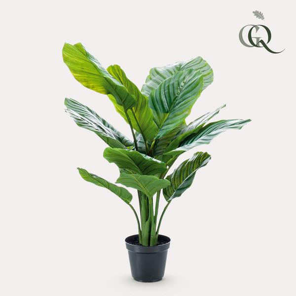Plante artificielle - Calathea Orbifolia - Plante d'ombrage - 60 cm