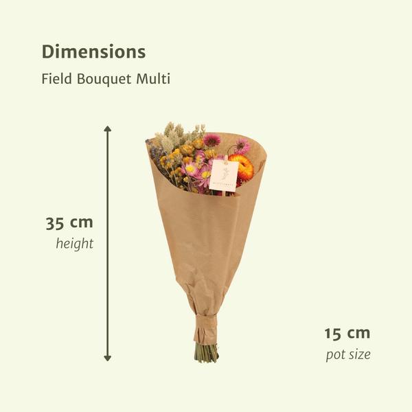 12x Field Bouquet Multi - Bouquet sec - 35cm - Ø15