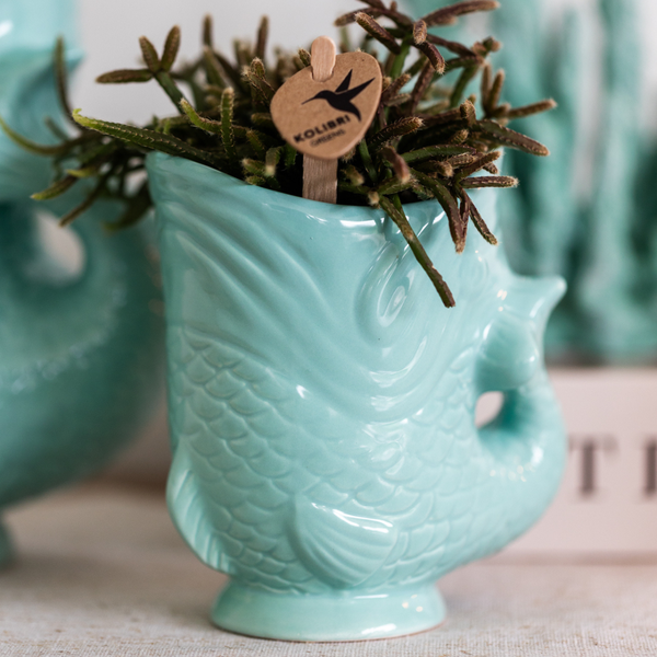 Kolibri Home | Fish - Turquoise - Ø6cm