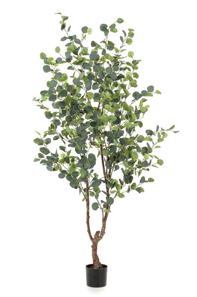 Plante artificielle - Eucalyptus - Gommier Bleu - 180 cm