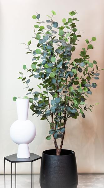 Plante artificielle - Eucalyptus - Gommier Bleu - 180 cm