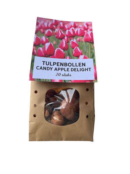 Candy Apple Delight - Bulbes de tulipes 20 pièces