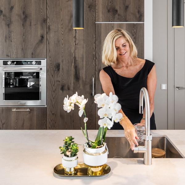 Kolibri Greens | Succulenten set van 2 planten in gouden Le Chic sierpotten - keramiek potmaat Ø9cm