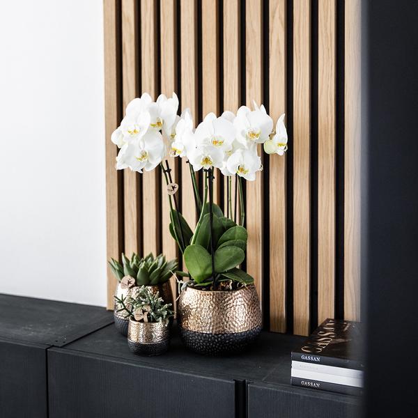 Kolibri Home | Elite pot copper - Ø12cm