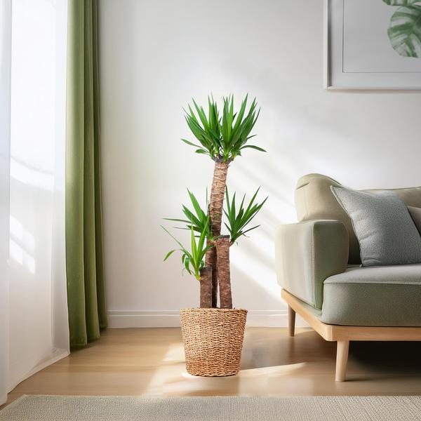 Yucca XL avec panier Torun - 125cm - Ø24