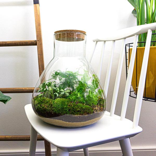 DIY terrarium - Sam XL - ↕ 35 cm - Rake + Shovel + Tweezer
