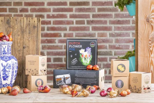 Flowerbulbs Amsterdam - Dutch Flower Mix - Boîte de luxe moyenne, 40 bulbes à fleurs pour 1 m2 de splendeur florale - Taille 12+