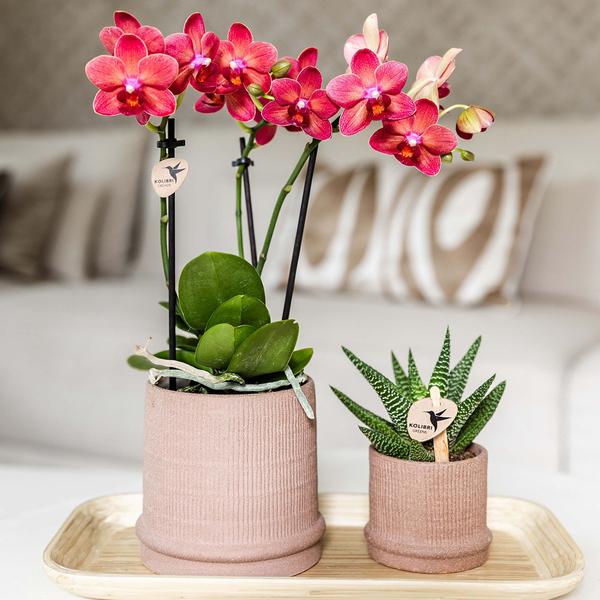 Kolibri Home | Bali sierpot - Sand - Ø6cm