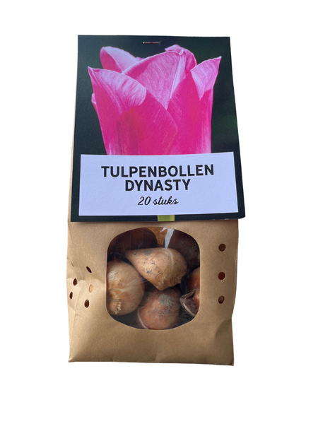 Dynasty - Bulbes de tulipes 20 pièces