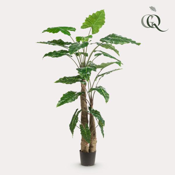 Plante artificielle - Alocasia - Oreille d'éléphant - 180 cm