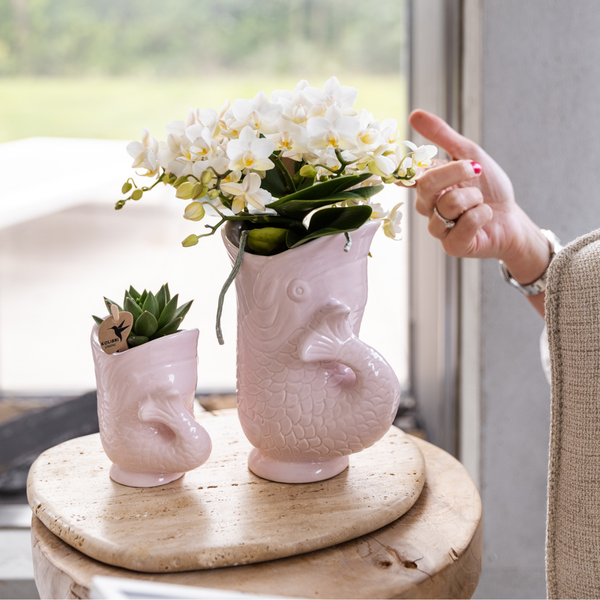 Kolibri Home | Fish - Pink - Ø9cm