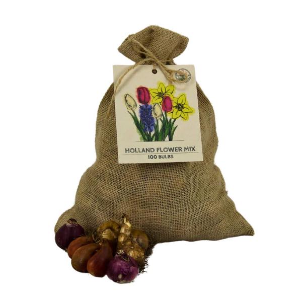 Flowerbulbs Amsterdam - Super Holland Mix - Sachet de valeur durable, 100 bulbes de fleurs pour 2,5 m2 de splendeur florale - Taille 12+
