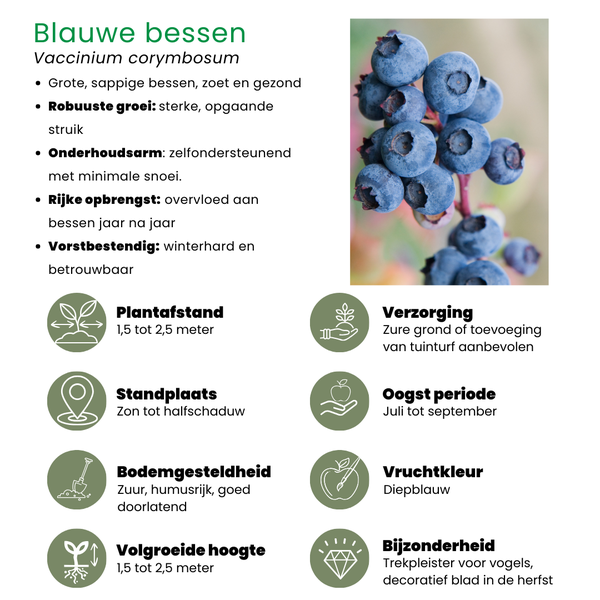 "Fruit oasis" BIO Mélange de plantes fruitières ensemble de 5 types différents