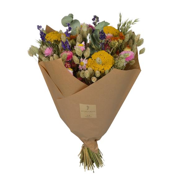 Fleurs séchées - Bouquet Classique - Multi - 4 bouquets - ↕60cm
