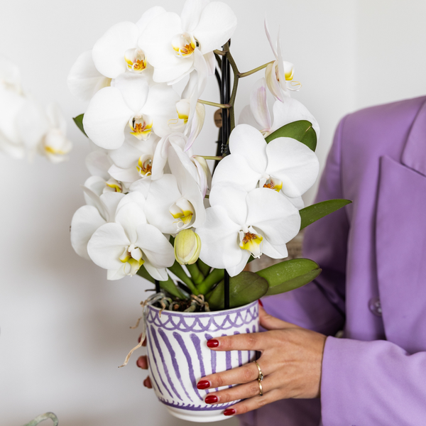Kolibri Home | Granada - Lilac - Ø12cm