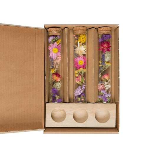 Fleurs séchées - Message in a Box Large - Multi - 8 pièces - ↕15cm