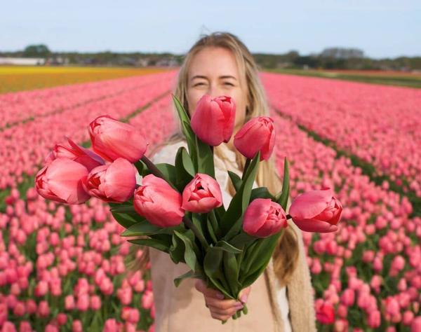 Flowerbulbs Amsterdam - Pink Impression - 15 bulbes à fleurs - Taille 12+
