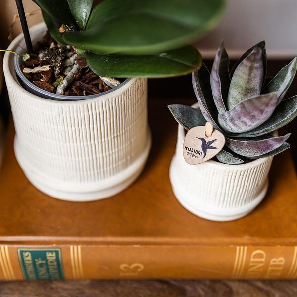 Kolibri Home | Bali sierpot - Off White - Ø6cm