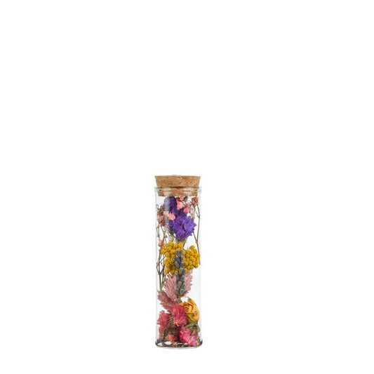 Fleurs séchées - Wish Bottle Small - Multi - 12 pièces - ↕10cm