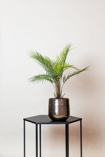 Plante artificielle - Chamaedorea - Palmier des montagnes - 50 cm