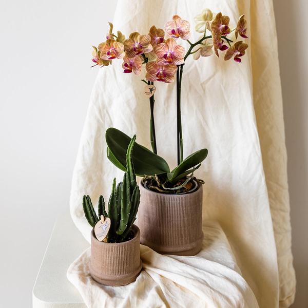 Kolibri Home | Bali sierpot - Sand - Ø6cm