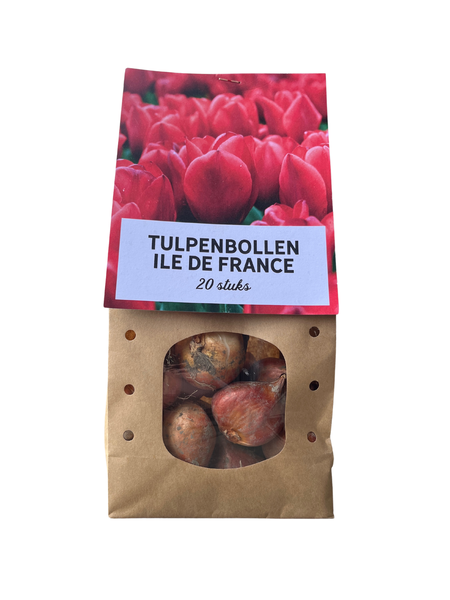Ile de France - Bulbes de tulipes 20 pièces