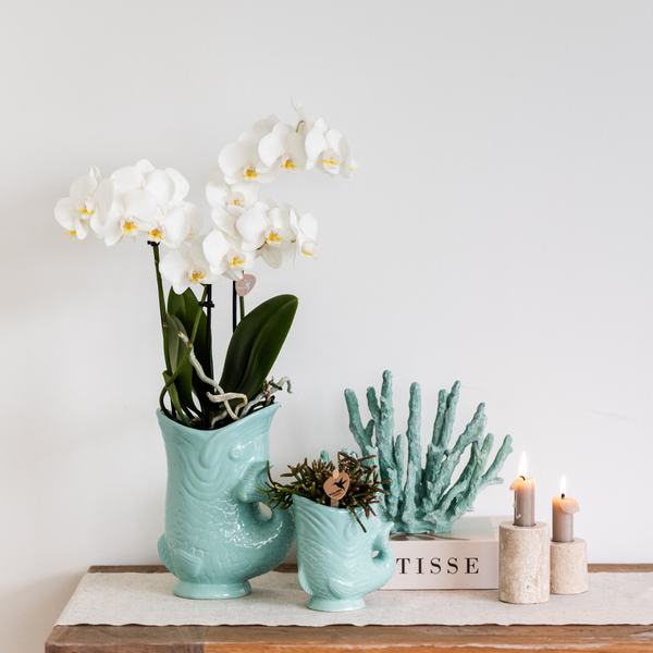 Kolibri Home | Fish - Turquoise - Ø6cm