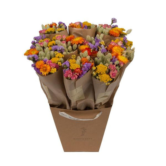 Fleurs séchées - Market More - Multi - ↕50cm