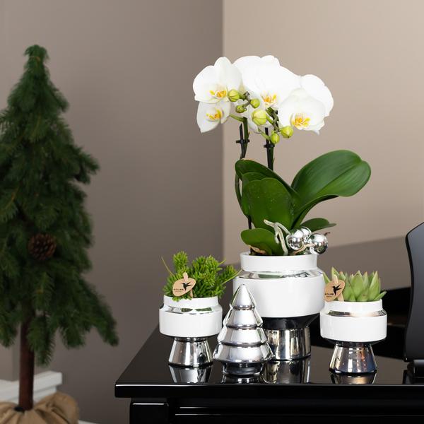 Maison Colibri | Ornement - Image décorative Sapin de Noël - 12 cm de haut - Blanc