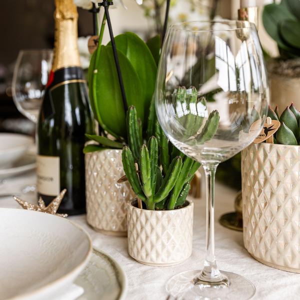 Compagnie des Colibris | Ensemble de plantes + pots décoratifs pour décoration de table dîner - taille pot Ø9cm & Ø6cm | plantes d'intérieur à fleurs - fraîchement sorties du producteur
