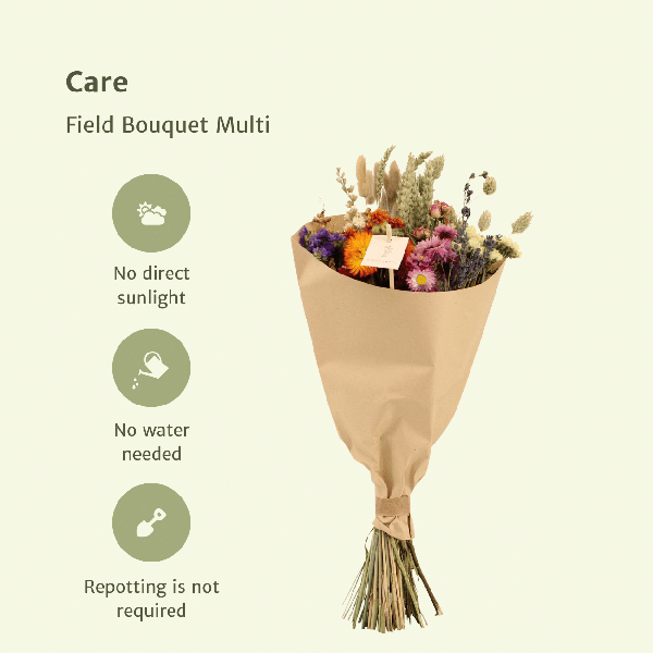 Fleurs séchées Bouquet Champ Multi - Ø20cm - ↕50cm