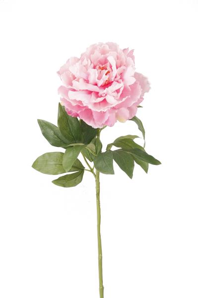Fleurs artificielles Solo - Rose clair - Pivoines - x 5 - 65cm