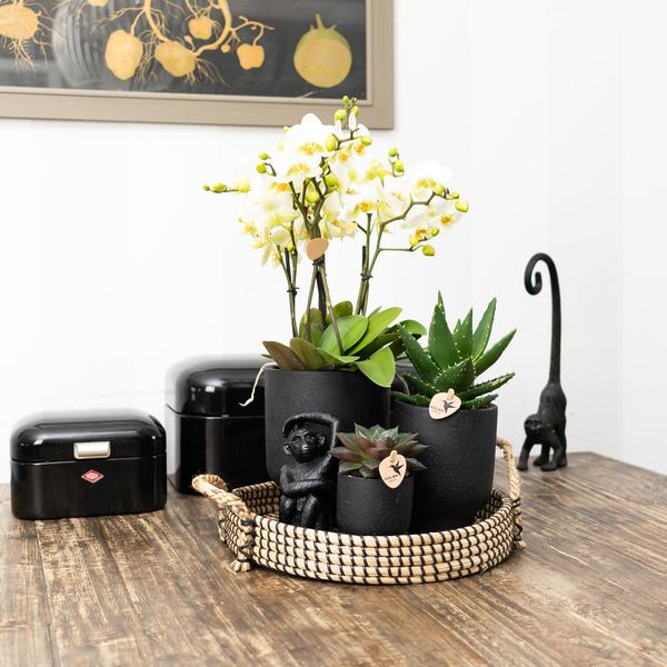 Maison Colibri | Bol décoratif - Plateau tressé noir Ø30cm