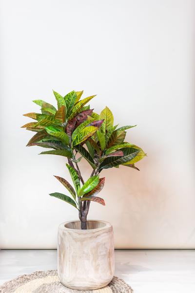 Plante artificielle - Croton Codiaeum - Wonderbush - 100 cm