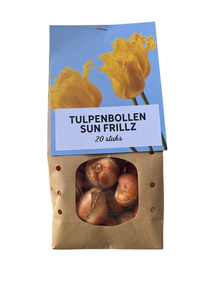 Sun Frillz - Bulbes de tulipes 20 pièces