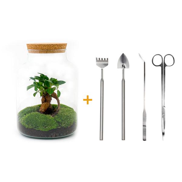 DIY terrarium - Milky met bonsai - ↕ 30 cm  - Rake + Shovel + Tweezer + Scissors
