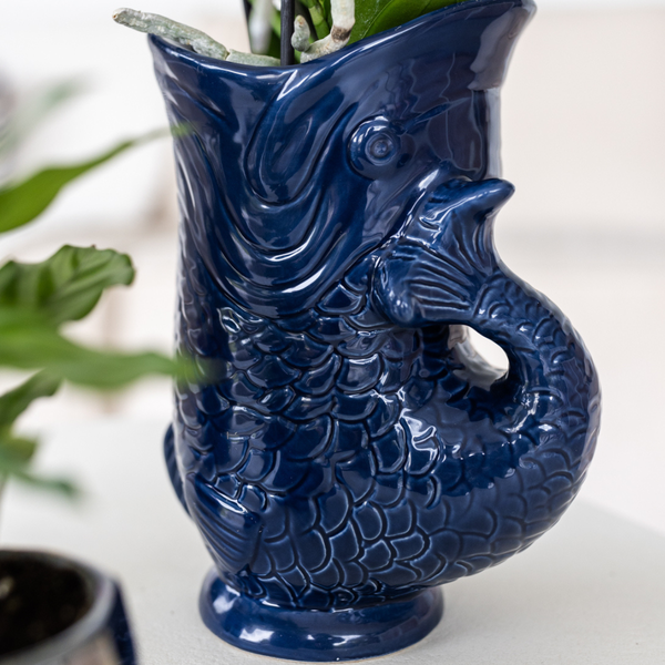 Compagnie des Colibris | Ensemble de plantes Coucher de soleil méditerranéen | Orchidée Phalaenopsis blanche Lausanne et plantes succulentes avec pots décoratifs en céramique