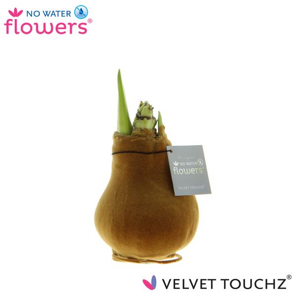 No Water Flowers Velvet Touchz® Copper - ↕15cm
