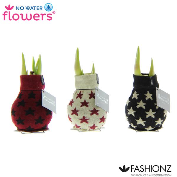 No Water Flowers Fashionz Patternz Star - 3 pièces - Ø7 cm - ↕15 cm