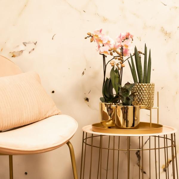 Maison Colibri | Support à plantes - Support à plantes en métal doré Ø12cm