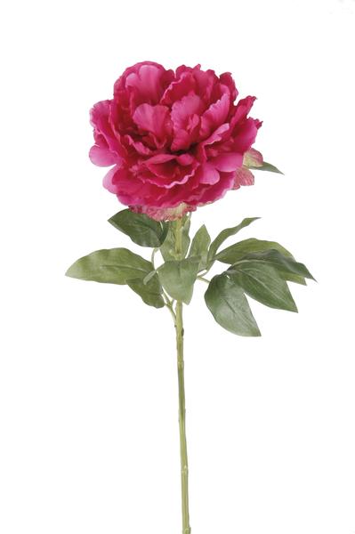 Fleurs artificielles Solo - Rose foncé - Pivoines - x 5 - 65cm