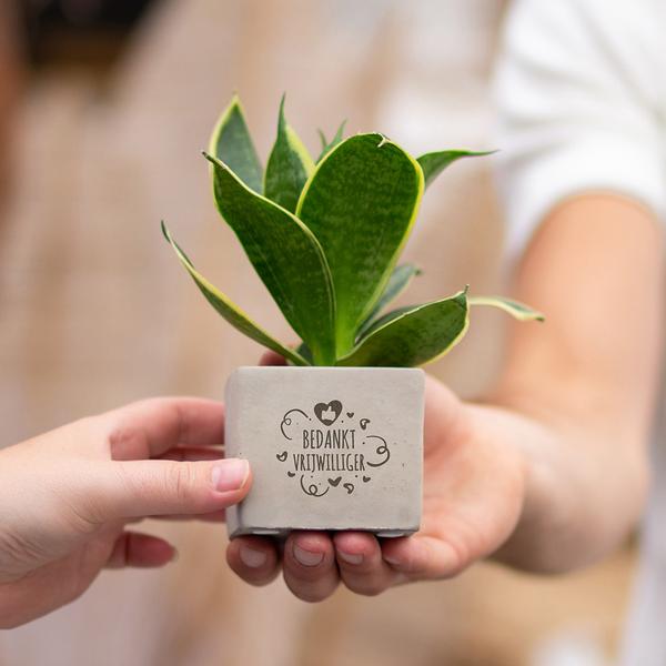 Congreetz® plantpots + Sansevieria | Bedankt vrijwilliger