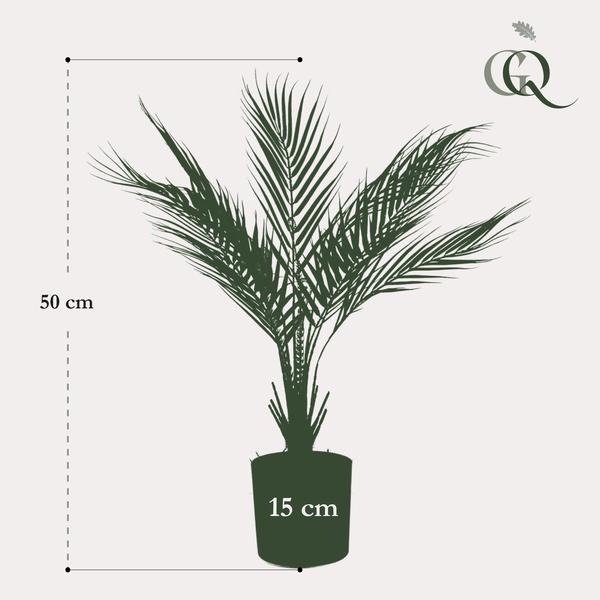 Plante artificielle - Chamaedorea - Palmier des montagnes - 50 cm
